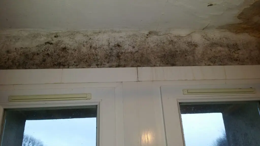 les dégâts occasionnés par la condensation dans un appartement, générant un excédant d'humidité.